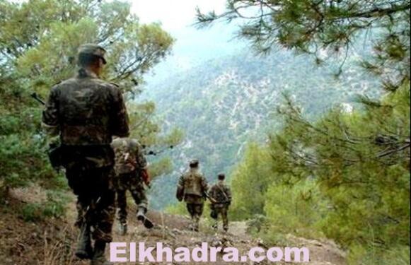 Découverte à Tizi Ouzou d'une cache de munitions contenant 8 obus 2