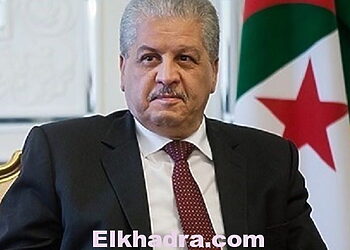 هذا ماشكله سلال