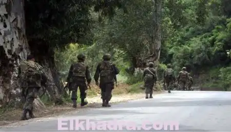 ANP : 11 terroristes abattus et 4 autres arrêtés durant le mois de mars