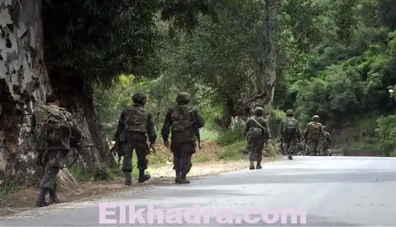 ANP : 11 terroristes abattus et 4 autres arrêtés durant le mois de mars