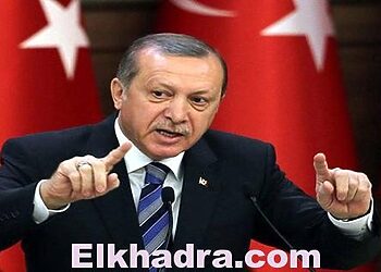 إردوغان: هولندا ستدفع الثمن 4