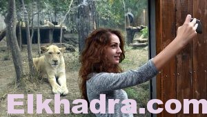 !تطبيق لتصوير سيلفي مع الموتى 1