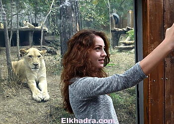 A womans takes a selfie in front of the lions open-air cage at the Tbilisi zoo on September 13, 2015. The zoo has reopened today after been destroyed by last June floods. AFP PHOTO / VANO SHLAMOV        (Photo credit should read VANO SHLAMOV/AFP/Getty Images)