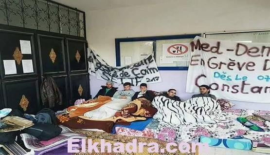 !هل السنة البيضاء هي مصير طلبة الصيدلة وطب الأسنان 1