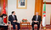 Sellal reçoit le ministre chinois de l’Agriculture : conforter la coopération et le partenariat 39 Sellal reçoit le ministre chinois de l’Agriculture : conforter la coopération et le partenariat 39