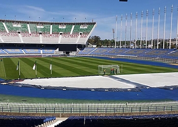 Zetchi prépare le retour de Elkhadra au stade du 5 Juillet 3