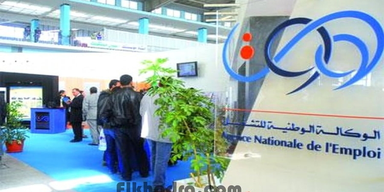 التسجيل في وسيط أونلاين 2025 wassitonline.anem.dz 1