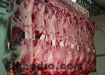 Viandes fraiches: les bouchers astreints à l'obligation d'afficher le prix et l'origine du produit importé 4