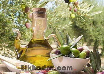 L’huile d’olive réduirait le risque de démence et la maladie d’Alzheimer 2