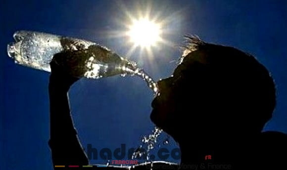 La canicule et les feux de forêts à l'origine des coupures d'électricité 1
