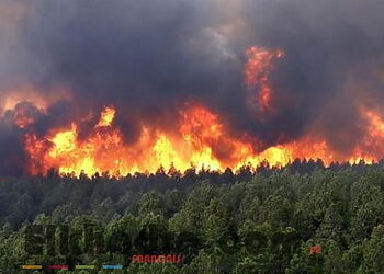 Incendies : plus de 150 incendies enregistrés au cours des dernières 24 heures 1