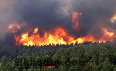 Incendies : plus de 150 incendies enregistrés au cours des dernières 24 heures 2