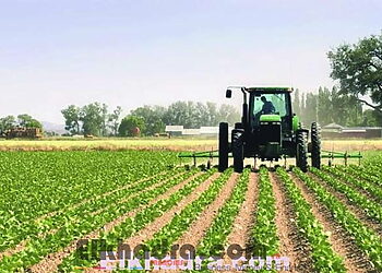 Installation d'un groupe de travail pour la relance des exportations agricoles 1