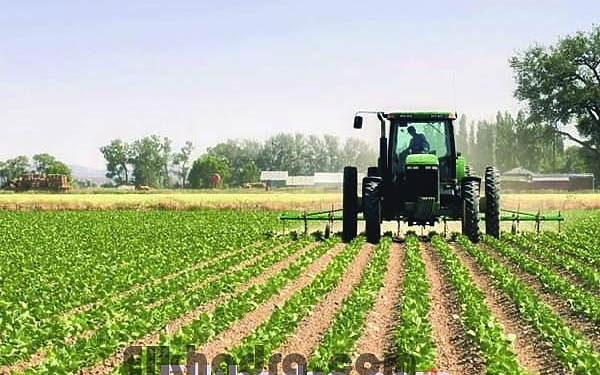 Installation d'un groupe de travail pour la relance des exportations agricoles 1