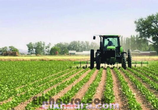 Le secteur agricole bénéficiera d'un plus grand soutien à partir de janvier 2018 2