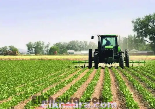 Installation d’un groupe de travail pour la relance des exportations agricoles