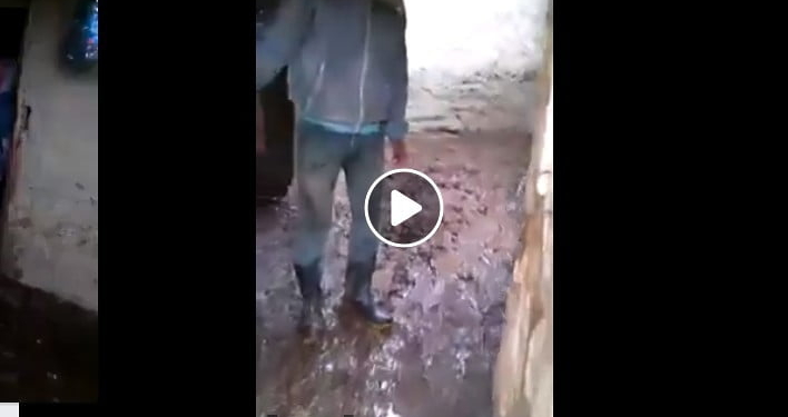 تمالك دموعك قبل ان تشاهد الفيديو .. هل يعلم بهذا والي عين الدفلى ؟ .. !! 1