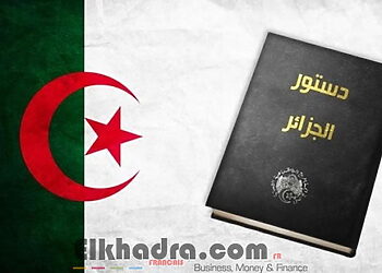 ممارسة المواطنين للرقابة الدستورية بداية مارس القادم 8