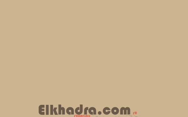 حماس ترامب يفتح النار على أمريكا بقراره هذا 1