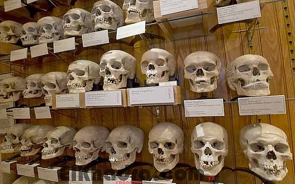 Mémoire : la France va restituer les crânes de martyrs Algériens 1