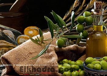 140 exposants à la 21ème édition de la fête de l’Olive de Bejaia 1