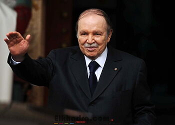 Bouteflika autorise la création de 11 zones industrielles sur des terres agricoles 14