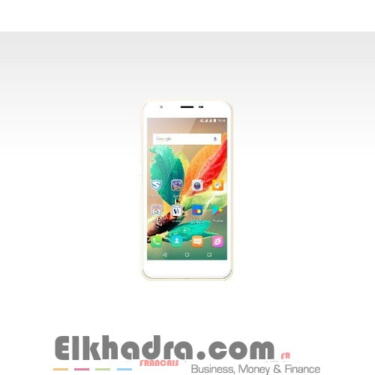 Prix et Fiche technique Condor Plume L1 1