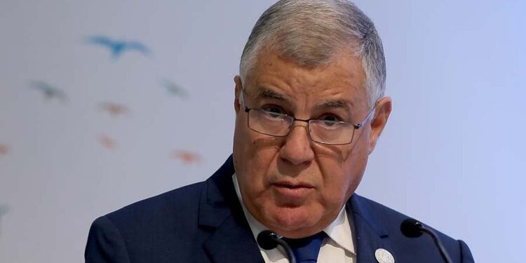 Guitouni: La révision de la loi sur les hydrocarbures "arrive à sa fin" 1