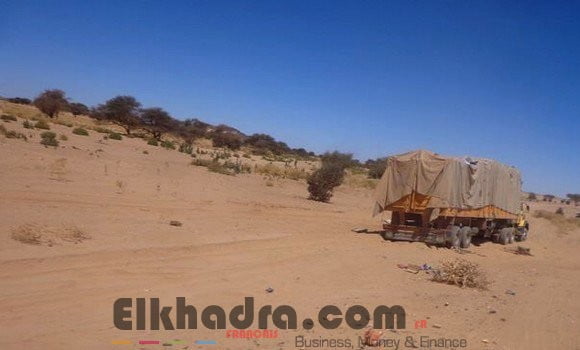 MDN : Saisie de plus de12 tonnes de denrées alimentaires et de 93 kg de kif traité au sud du pays 2