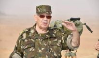 Gaïd Salah supervise dans la 4ème région militaire l’exécution d’un exercice tactique avec munitions réelles 35 Gaïd Salah supervise dans la 4ème région militaire l’exécution d’un exercice tactique avec munitions réelles 35