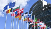 Diffusion d'une vidéo attentatoire aux symboles de l'Etat : le Parlement européen exprime ses «regrets» à l'Algérie 20 Diffusion d'une vidéo attentatoire aux symboles de l'Etat : le Parlement européen exprime ses «regrets» à l'Algérie 20