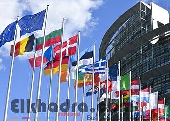 Diffusion d'une vidéo attentatoire aux symboles de l'Etat : le Parlement européen exprime ses «regrets» à l'Algérie 6