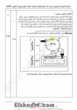 بكالوريا 2018 - التصحيح الوزاري النموذجي للعلوم الطبيعية والحياة 2