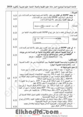 بكالوريا 2018 - التصحيح الوزاري النموذجي للعلوم الطبيعية والحياة 3