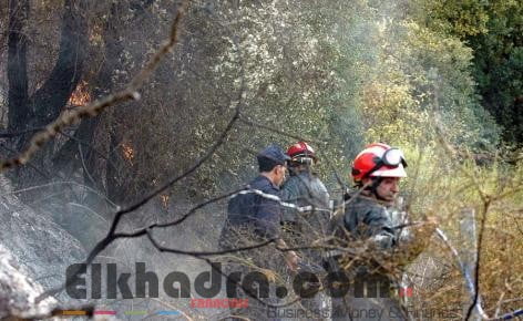 Saison estivale 2018 : 207 incendies de forêts traités à ce jour 2