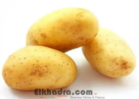 Pomme de terre : spéculation sur le marché de gros à l’approche de l’Aïd El Adha
