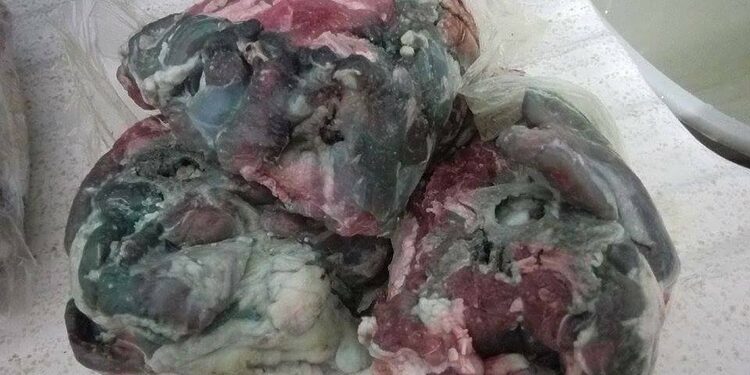 Aid el Adha : les conseils de spécialistes pour éviter la réapparition du phénomène de la "viande verte" 1