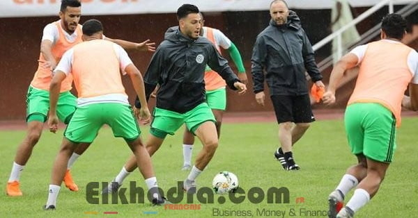 Gambie - Algérie : Elkhadra pour renouer avec le succès dès ce soir 1