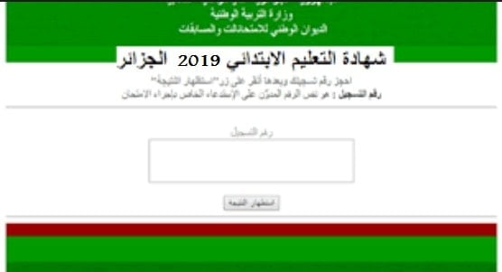 نتائج السانكيام 2021 الجزائر برقم التسجيل .. شهادة التعليم الابتدائي cinq.onec.dz الديوان الوطني 1
