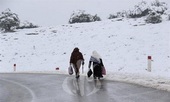 طقس الجزائر :تساقط الثلوج على المرتفعات الوسطى و الشرقية من الوطن ابتداء من يوم الاثنين 2