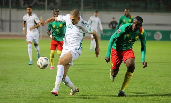 Algérie-Cameroun 1-2 : les "Verts échouent au bout du suspense" 2