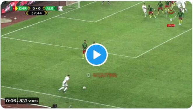 résumé Algérie 1 vs 0 Cameroun