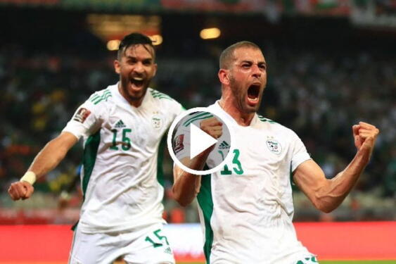 Résume Cameroun vs Algérie – Éliminatoires Afrique pour la Coupe du Monde de la FIFA 2022