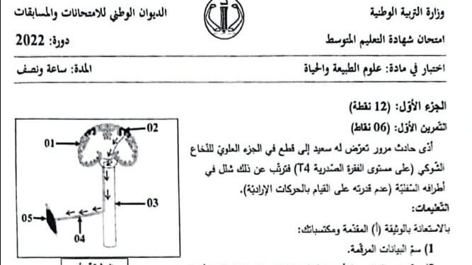 موضوع اختبار العلوم الطبيعية شهادة التعليم المتوسط [ BEM 2022 ] 1
