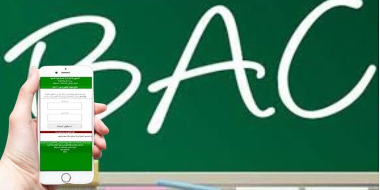 نتائج بكالوريا 2023 bac.onec.dz 1