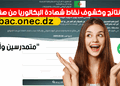نتائج البكالوريا 2025 awlyaa.education.dz 25