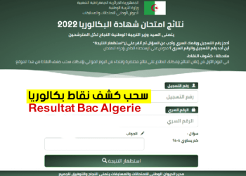 Relevé de notes Bac en Algérie de l'année 2024 bac onec dz 3