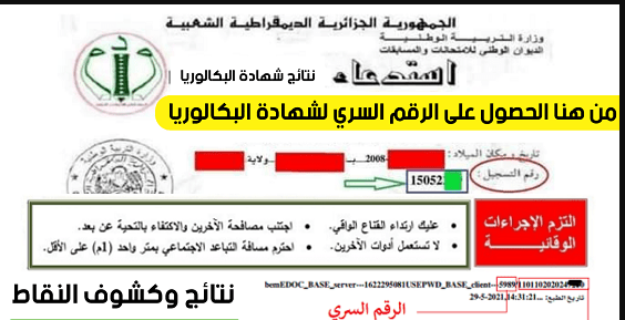 الحصول على الرقم السري للاطلاع على نتائج بكالوريا 2022 1
