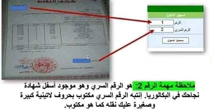 نتائج التوجيه الجامعي 2025orientation.esi.dz 1