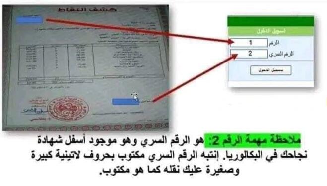 التسجيلات الجامعية 2025 www.orientation.esi.dz 2